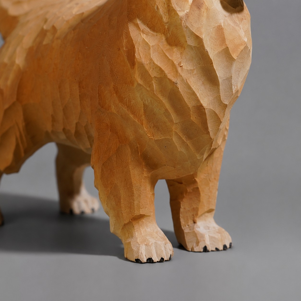 Paw and standing pose detail